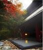 �]�O NOGUCHI �o��