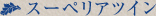 �X�[�y���A�c�C��