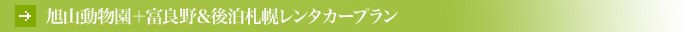 ���R�������{�x�ǖ쁕�㔑�D�y�����^�J�[�v����