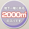 nKɂ2000[g̃XpłB