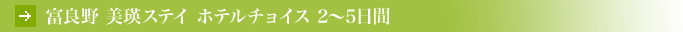 �x�ǖ� ���l�X�e�C �z�e���`���C�X 2�`5����