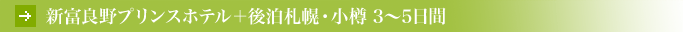 �x�ǖ� ���l�X�e�C �z�e���`���C�X 2�`5����