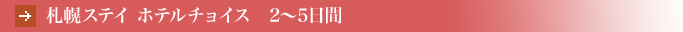 �D�y�X�e�C �z�e���`���C�X�@2�`5����
