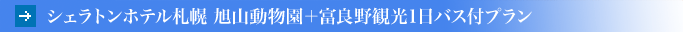 �z�e���G�~�V�A�D�y ���R�������{�x�ǖ�ό�1���o�X�t�v����