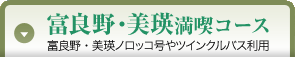 xǖEliR[X