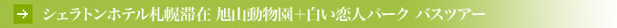 �z�e���G�~�V�A�D�y�؍� ���R�������{�������l�p�[�N �o�X�c�A�[
