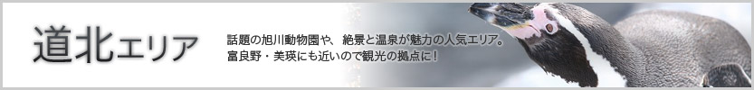 ���k�G���A