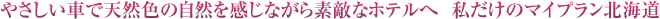 �₳�����ԁi�n�C�u���b�h�J�[�j�œV�R�F�̎��R�������Ȃ���f�G�ȃz�e���ց@�������̃}�C�v�����k�C��