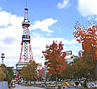ʌ